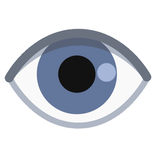 vision